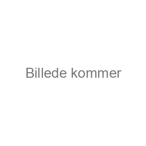 Alfabet- talsæt